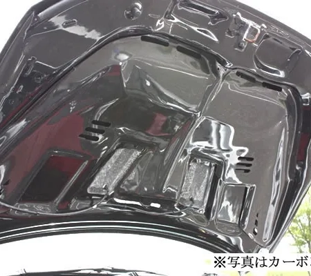 Garage Vary FRP Rain Guard - Mitsubishi EVO X