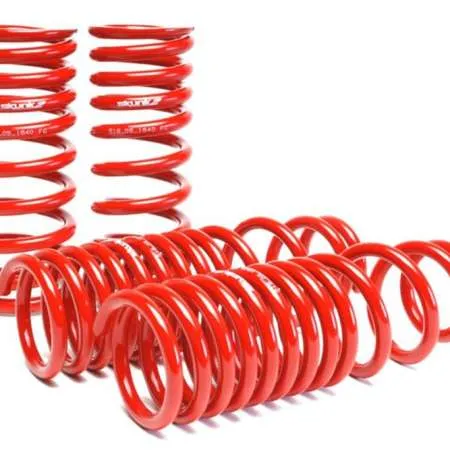 Skunk2 90-93 Acura Integra Lowering Springs (2.50in - 2.25in.) (Set of 4)