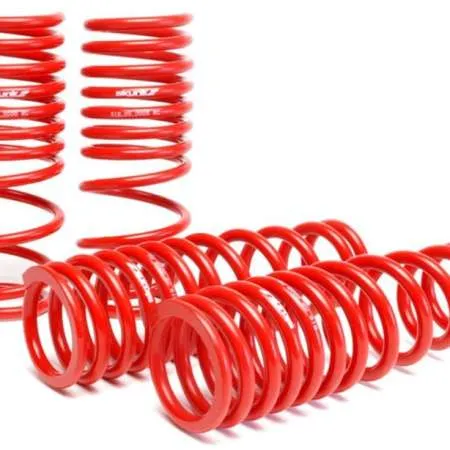 Skunk2 92-95 Honda Civic/Del Sol Lowering Springs (2.50in - 2.25in.) (Set of 4)