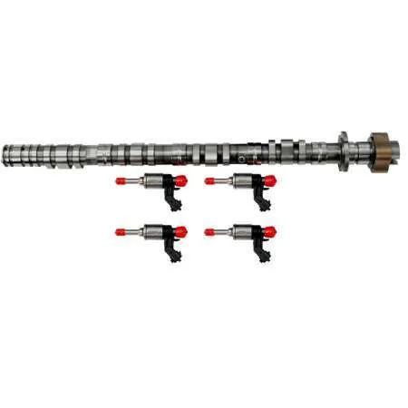 Hondata FK8 FL5 DE5 Fuel System Upgrade