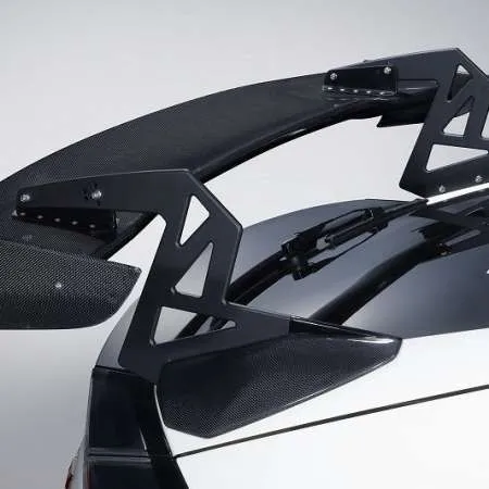 Spoon Crane Neck Wing (Carbon) - Civic FK8