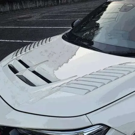 Voltex Racing Civic Type R FL5 Hood (Infusion Carbon)